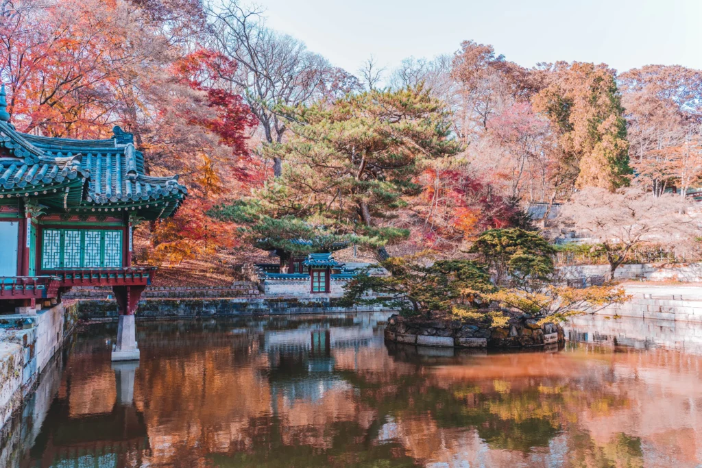 11月前往韩国旅行