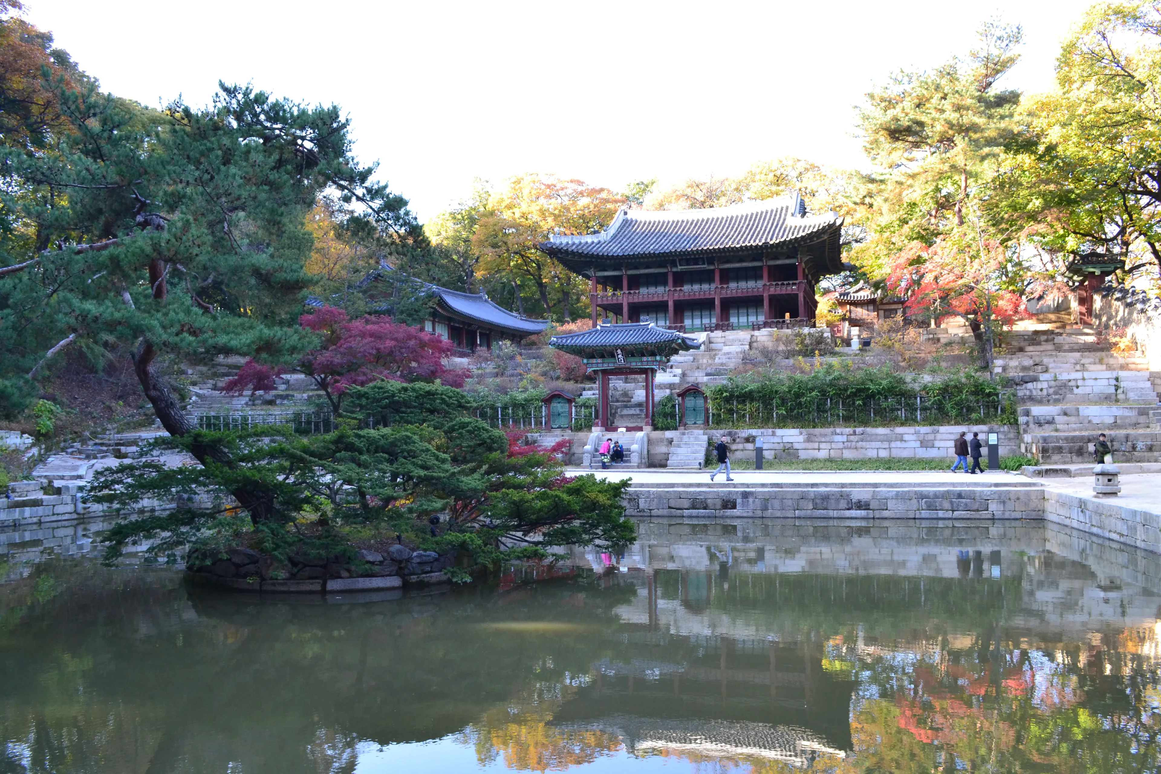 参观昌德宫及其后花园 | 首尔宫殿 - 最好的旅行
