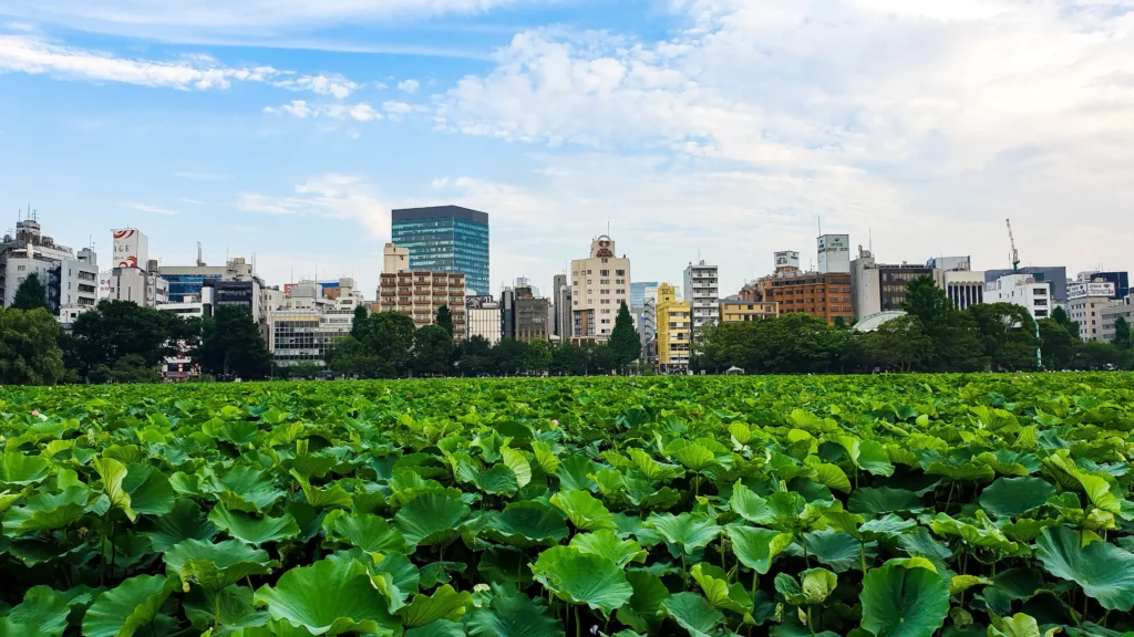 东京上野公园可以做什么