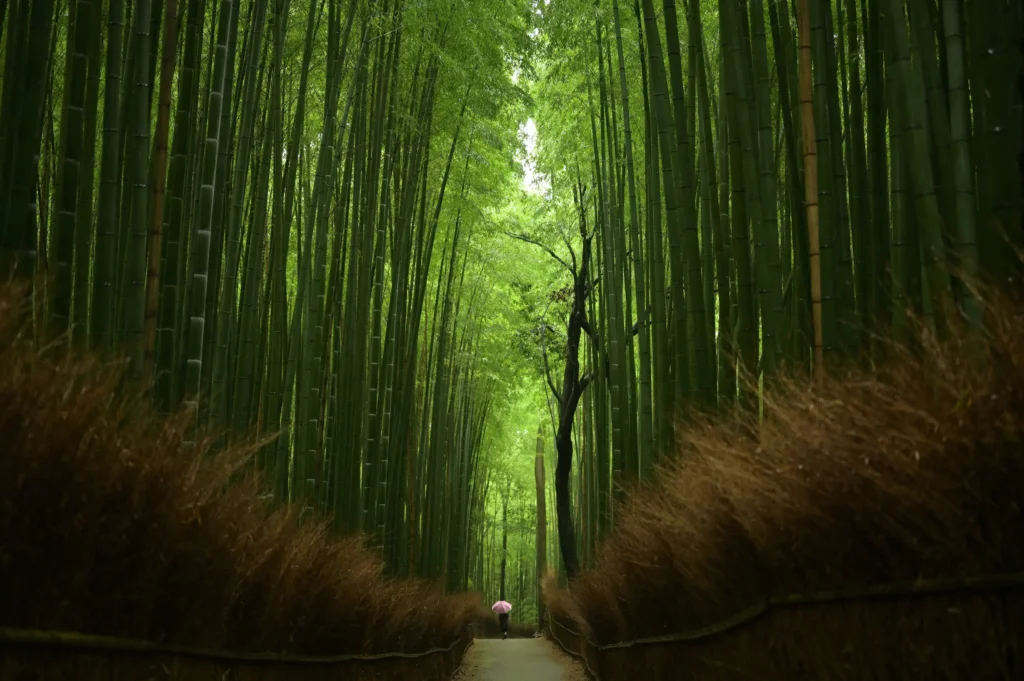 京都嵐山必做