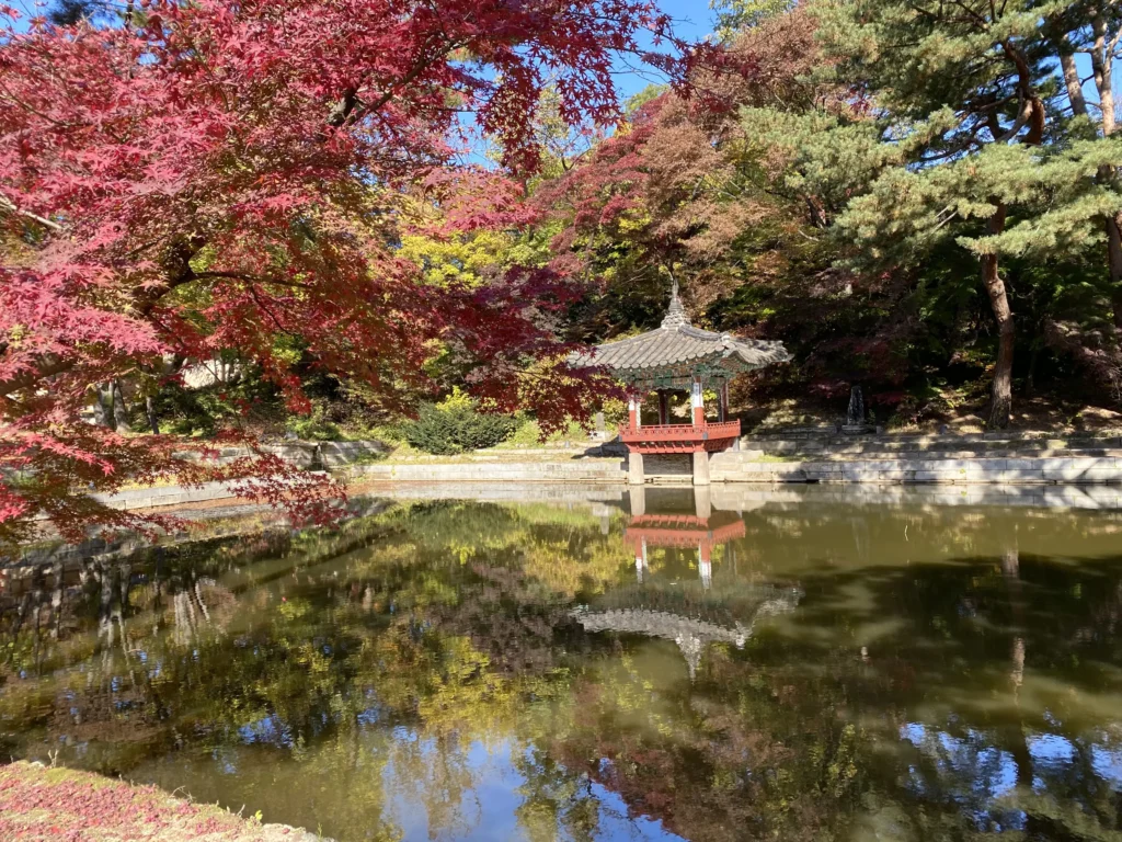 秘密花园：门票或导览