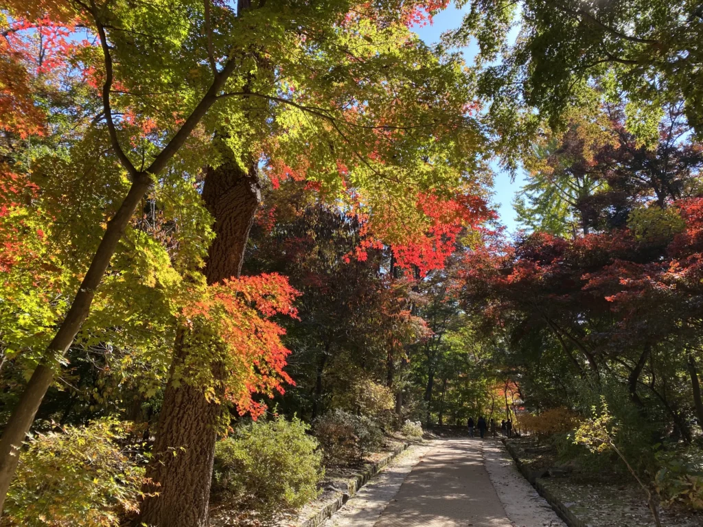 首尔的公园，花园