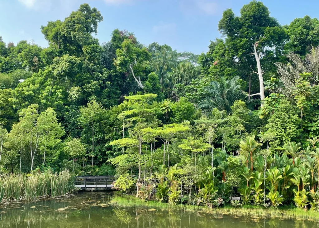 新加坡植物园