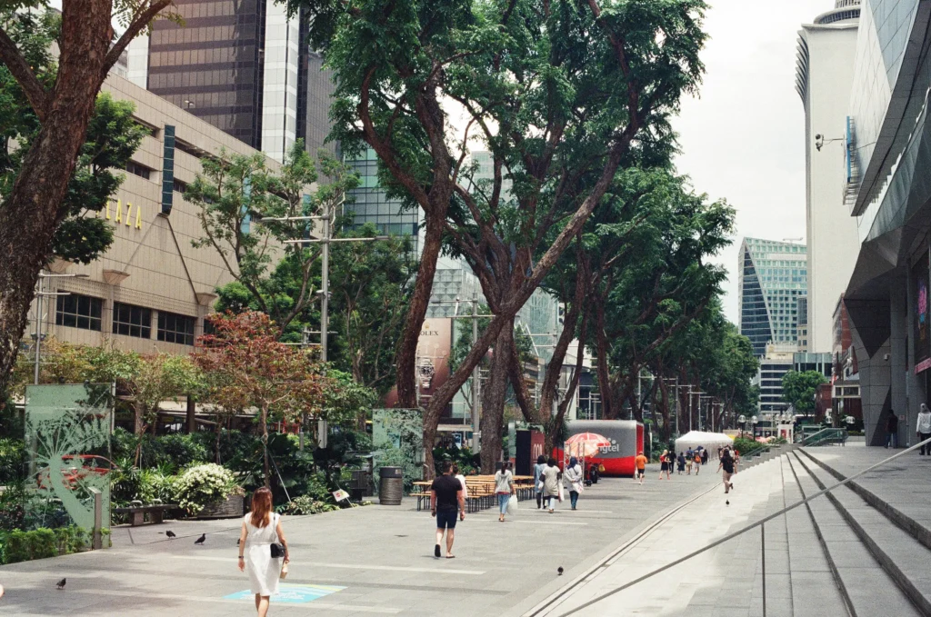 新加坡最佳活动：乌节路